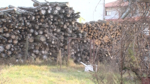 Tűzifa Vasad